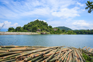 Beautiful landscape of river and group bamboo
