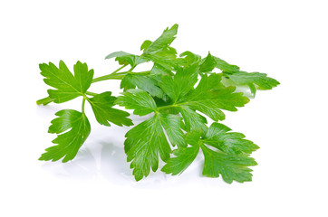 Coriander bunch isolated on white