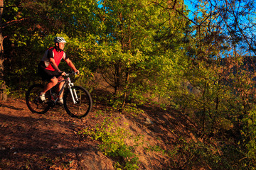Fototapeta premium Biker riding on bicycle in wood