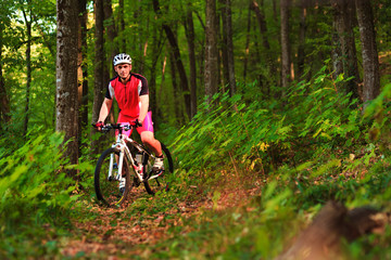 Fototapeta premium Biker riding on bicycle in wood