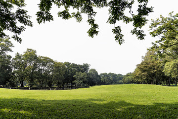 Green grass field with white cloudy sky