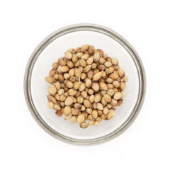 Top view of Organic Dried coriander seeds (Coriandrum sativum) half filled in glass bowl isolated on white background.