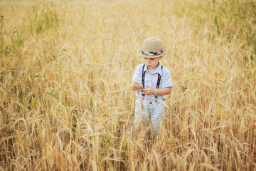 boy walking on a field of rye
