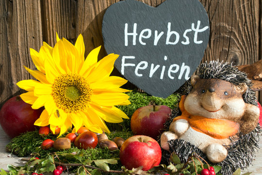 Herbstferien mit Igel und Sonnenblume