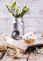 Muffins with raisins sprinkled with powdered sugar.selective focus