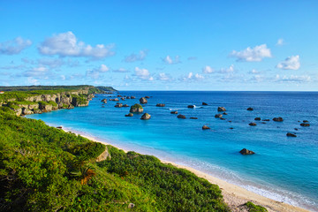 真夏の東平安名崎の風景