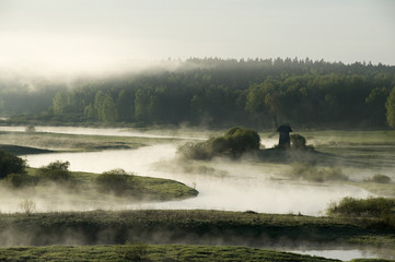 Foggy morning. Manor Mikhailovskoe