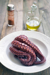 octopus
