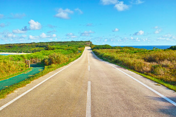 早朝の草原の中の道