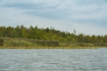 Landschaft am Mirower See, Mecklenburgische Seenplatte