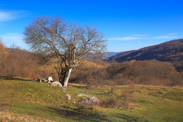 Landscape with dolmen ruins