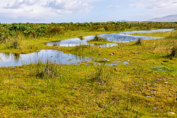 Chiloe National Park, Chile