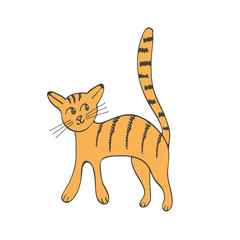Hand drawn illustration of cute domestic cat