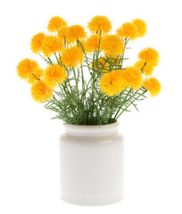 Marigold Artificial flowers in white ceramic vase