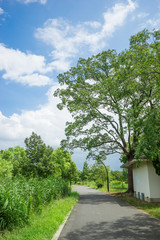 Fototapeta premium Promenade of Mizumoto Park