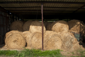 Stored bales