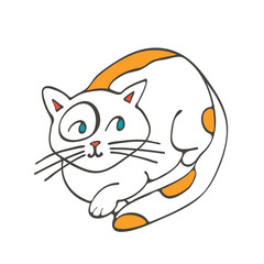 Hand drawn illustration of cute domestic cat