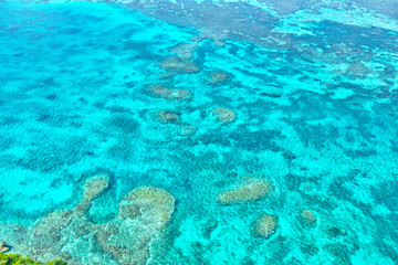 珊瑚礁の海