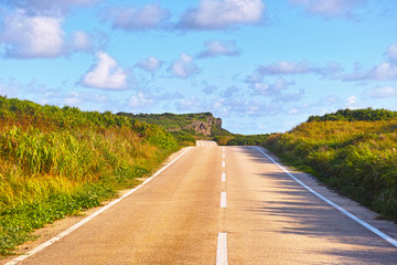 早朝の草原の中の道