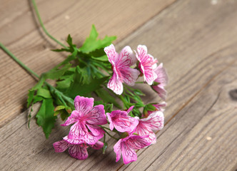 beautiful flowers lie on old wooden table