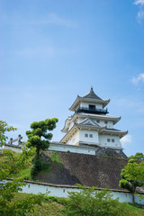 Obraz premium Kakegawa Castle