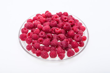 A beautiful selection of freshly picked ripe red raspberries.