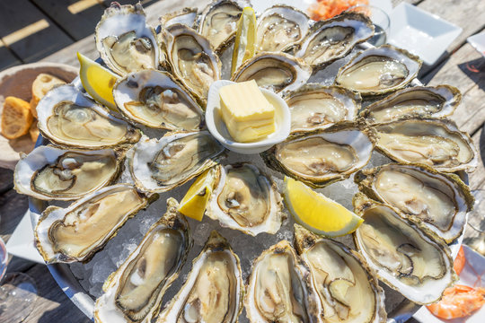 fresh oysters dishing up with lemon and butter