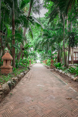 tropical garden and  the road to sea beach