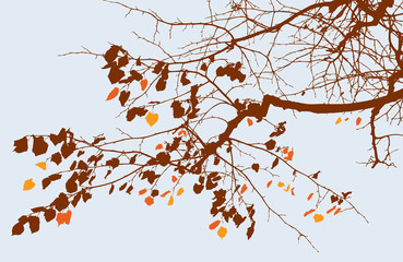 branch of autumn tree