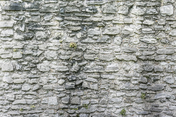 An ancient Rock Wall