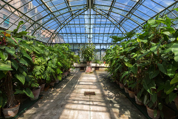 PALERMO - Botanical Garden