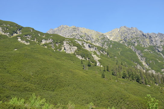 Fototapeta góry 8