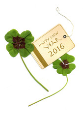 Frohes Neues Jahr 2016