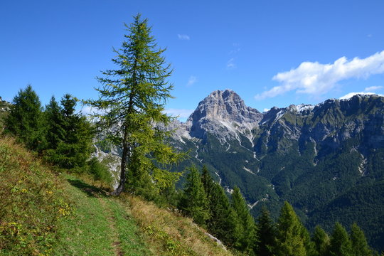 parco naturale delle Dolomiti Friulane &ndash; Vista sul monte Duranno dalla val Zemola