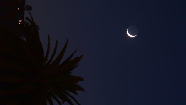 Time lapse footage of crescent moon setting over palm trees at twilight -Vertical Shot-