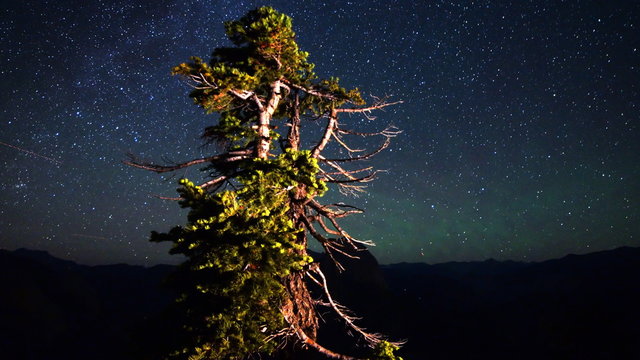 3 axis motion controlled astrophotography time lapse footage with dolly right / tilt up / pan right motion of starry sky over cypress tree at Glacier Point in Yosemite National Park, California -Long Shot-