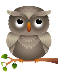 Cartoon of an Owl on a Branch