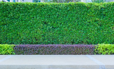 Exterior decoration of garden on a gravel concrete wall