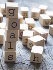 Business vision, Goals