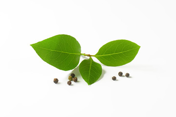 Fresh bay leaves and black peppercorns