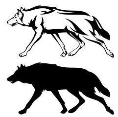 Fototapeta premium running wolf