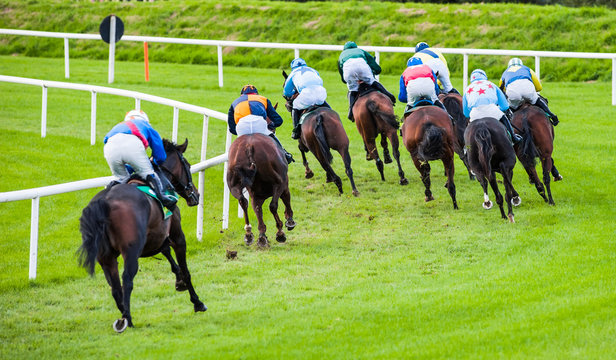 racehorses turning the race track