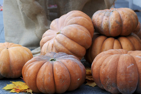 Pumpkins piled up outside the city market
