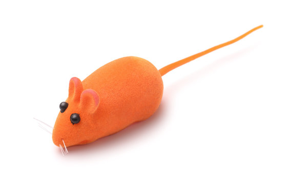 Orange pet toy mouse