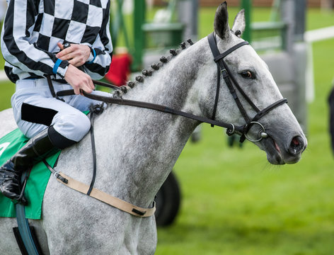 close up of jockey on grey race horse