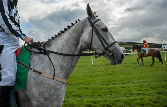 grey race horse and jockey on race track