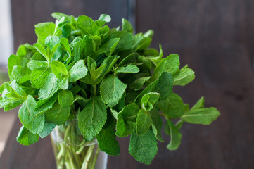 fresh mint leaves on a wooden background