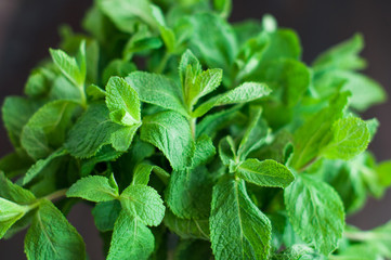 fresh mint leaves on a wooden background