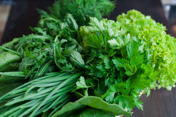 Various Fresh Greens with Lettuce, Mint, Dill and Parsley