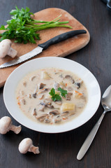 plate of vegetarian mushroom soup